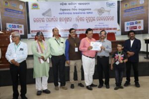 International Seminar, March 8th 2026