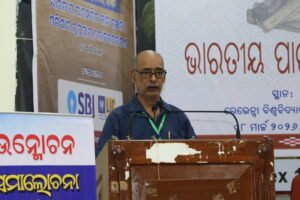 International Seminar, March 8th 2026