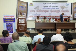 International Seminar, March 8th 2026